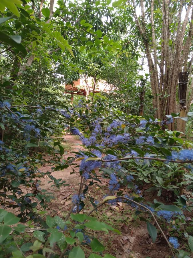 Dambulla Tree House Villa Exterior photo