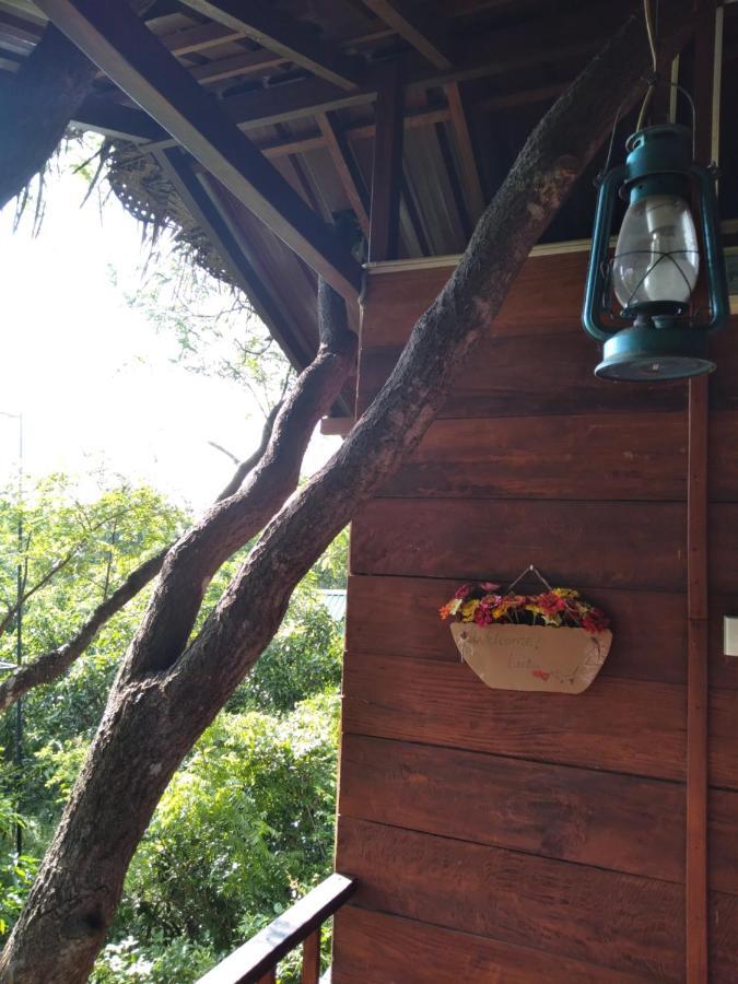 Dambulla Tree House Villa Exterior photo