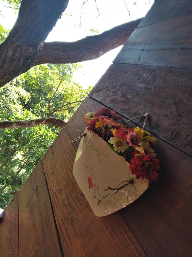 Dambulla Tree House Villa Exterior photo