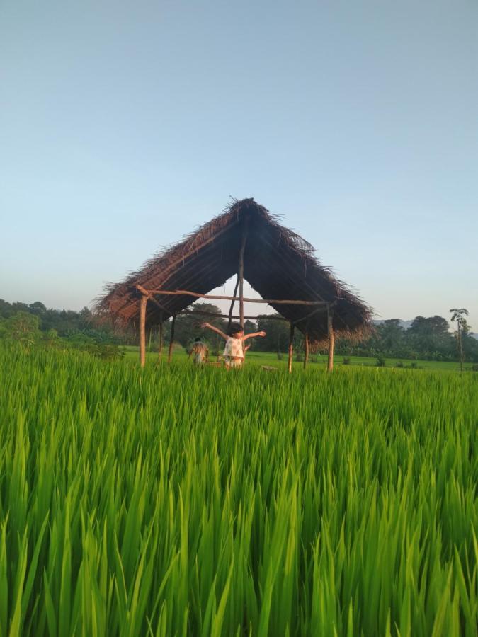 Dambulla Tree House Villa Exterior photo