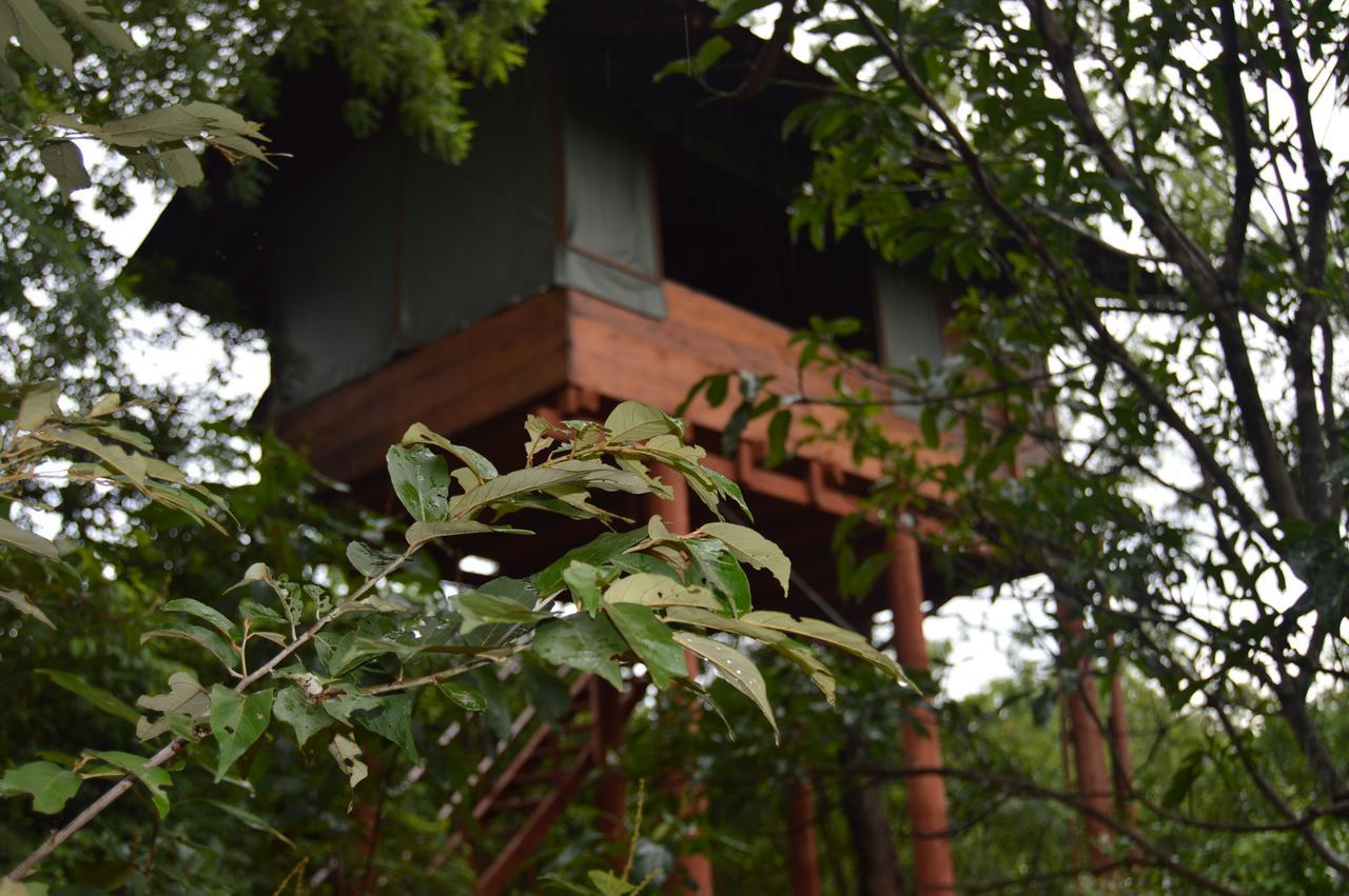 Dambulla Tree House Villa Exterior photo