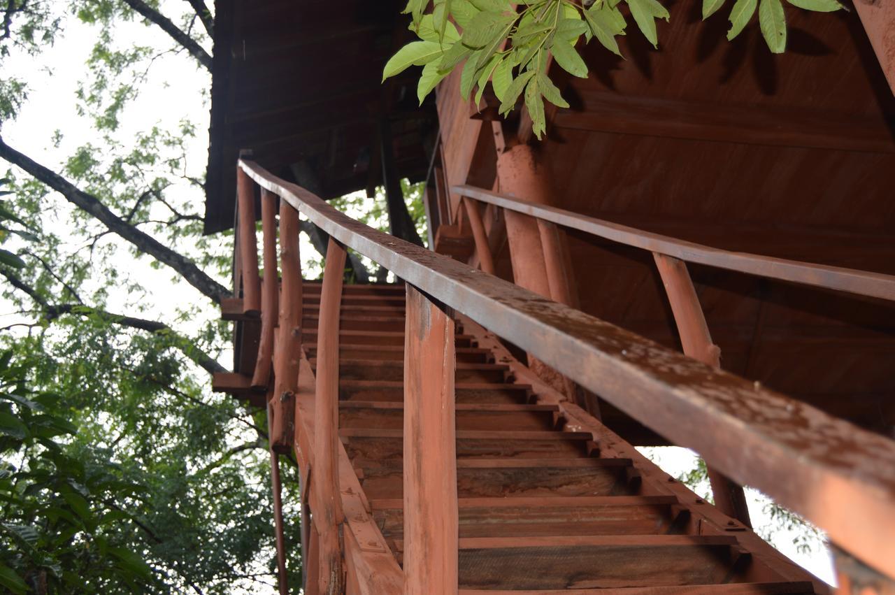 Dambulla Tree House Villa Exterior photo