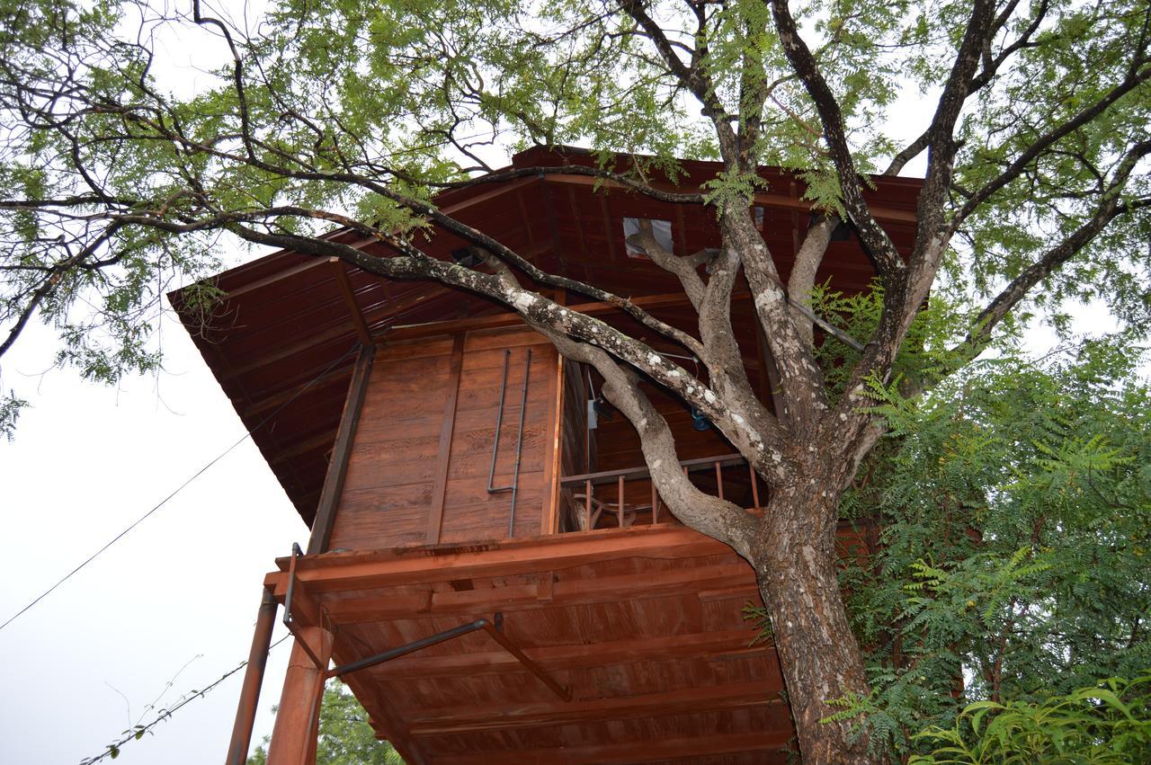 Dambulla Tree House Villa Exterior photo