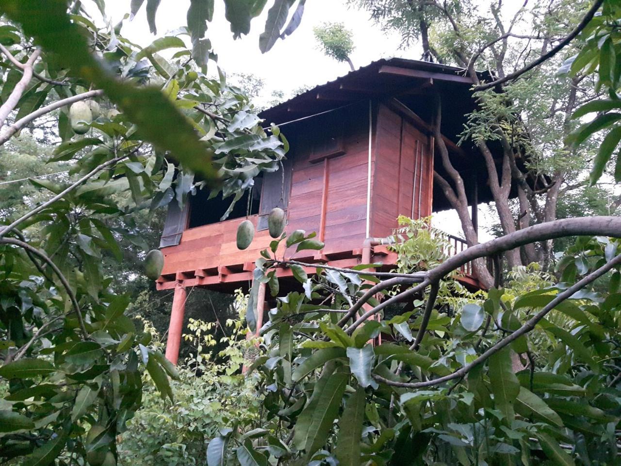 Dambulla Tree House Villa Exterior photo